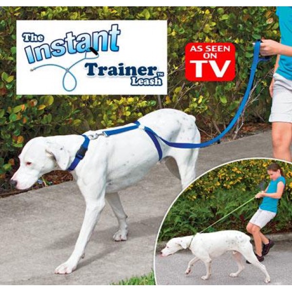 Lesa caine Instant trainer